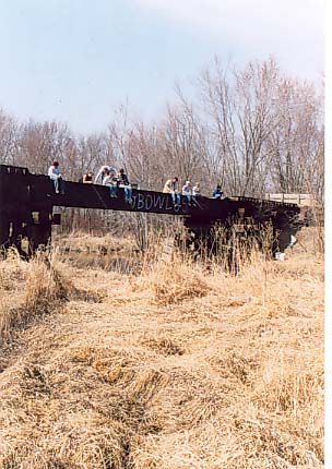 Fishing in Grass, near Bowlus, MN