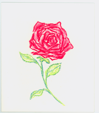 Wes Sod Greeting Card - Rose Wes Sod Greeting Card - Rose