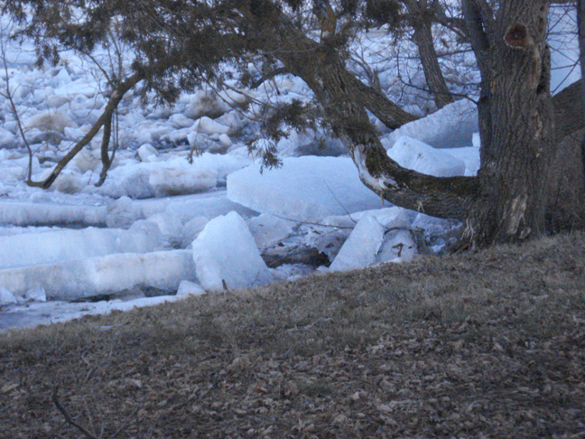 Closeup of the ice causing problems with the Highway 10 bridge north of Little Falls, MN, March 17, 2010. Closeup of the ice causing problems with the Highway 10 bridge north of Little Falls, MN, March 17, 2010.
