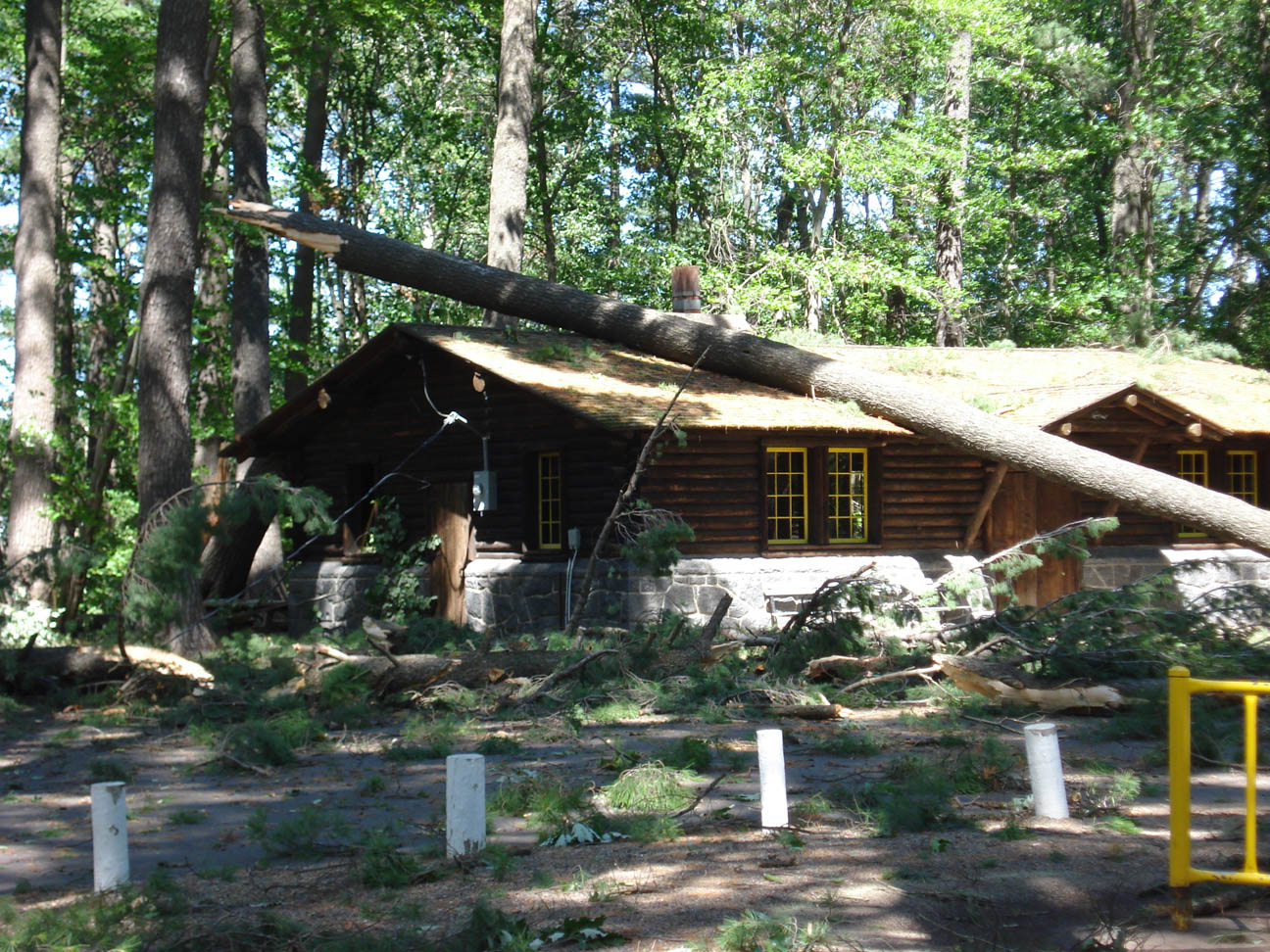 Snapped tree on park shelter, Pine Grove Park, Little Falls, MN, July 2008 Snapped tree on park shelter, Pine Grove Park, Little Falls, MN, July 2008