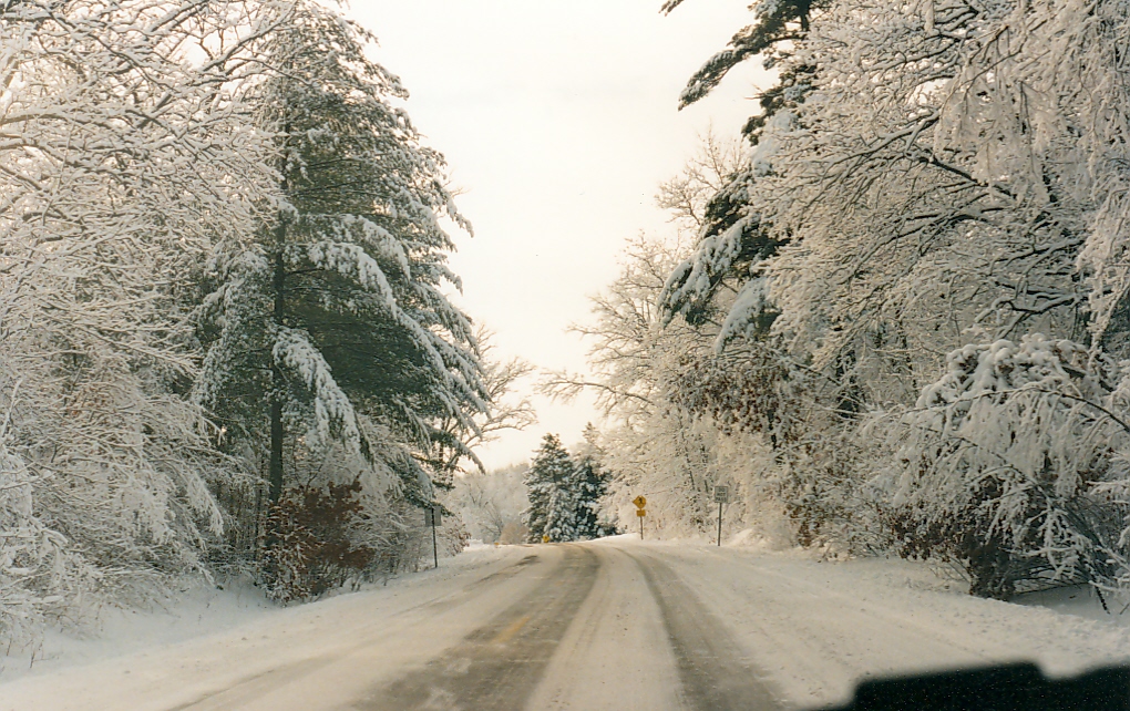 Lindbergh Drive between Weyerhaeuser Museum & Lindbergh State Park & Lindbergh Historic Site