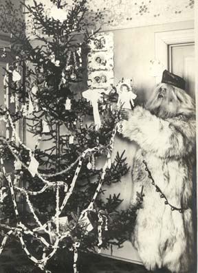 http://www.morrisoncountyhistory.org/museumpics/santa.jpg Photo: Christmas in the Z. N. Barnes Home, Little Falls, MN, c. 1900. The camera has captured Father Christmas leaving a doll on the tree for Mildred, daughter of Mr. and Mrs. Z. N. Barnes. Father Christmas is portrayed by Mildreds Uncle Rob, Rob McCollough. Photo by Z. N. Barnes from the Morrison County Historical Society collections.